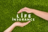 Afan Insurance Agency Avatar